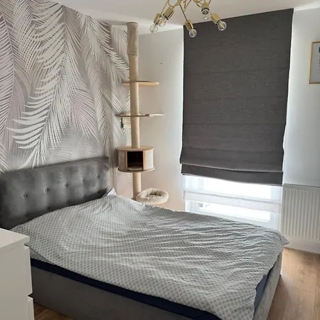 A Cozy In The Center Of Apartamento *